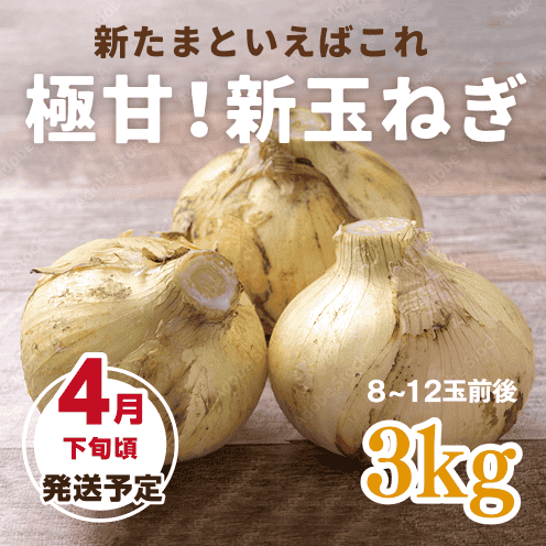 【数量・期間限定】【送料込み】海月館 自社農園栽培！淡路島産 極甘！早生玉ねぎ 【サイズお任せ 3kg】