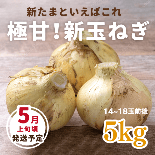 【数量・期間限定】【送料込み】海月館 自社農園栽培！淡路島産 極甘！早生玉ねぎ 【サイズお任せ 5kg】