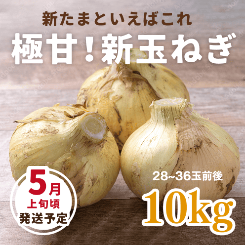 【数量・期間限定】【送料込み】海月館 自社農園栽培！淡路島産 極甘！早生玉ねぎ 【サイズお任せ 10kg】