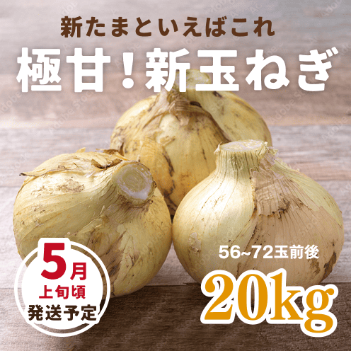 【数量・期間限定】【送料込み】海月館 自社農園栽培！淡路島産 極甘！早生玉ねぎ 【サイズお任せ 20kg】