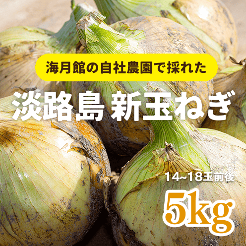 【数量・期間限定】【送料込み】 海月館 自社農場栽培！淡路島 新玉ねぎ【サイズお任せ 5kg】