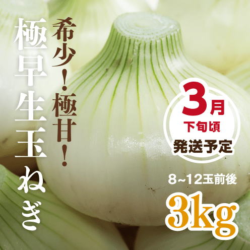 【数量・期間限定】【送料込み】海月館 自社農園栽培！淡路島産 極早生(ごくわせ)玉ねぎ 【サイズお任せ 3kg】