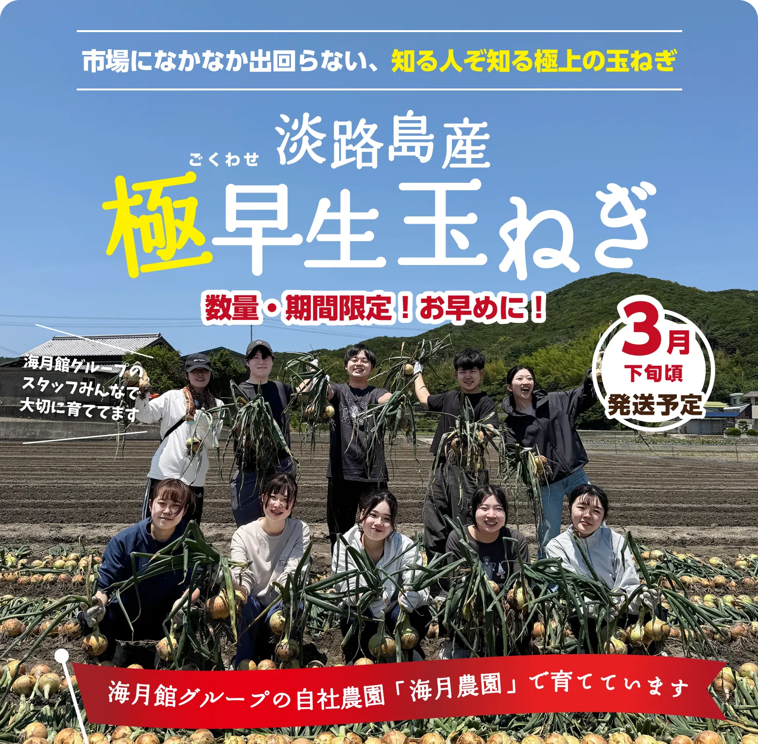 海月館の自社農園で育てた極早生（ごくわせ）玉ねぎ！市場になかなか出回らない、知る人ぞ知る極上の新玉ねぎです｜数量・期間 限定商品