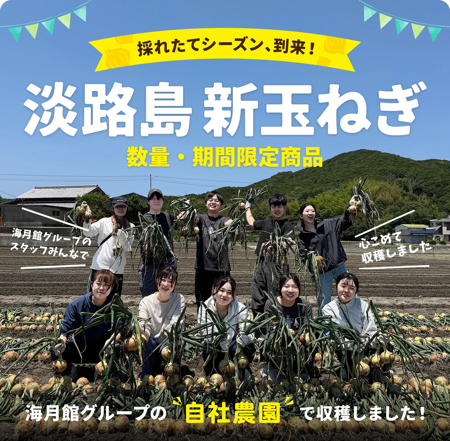 海月館の自社農園で育てました!淡路島産 新たまねぎ|数量・期間 限定商品