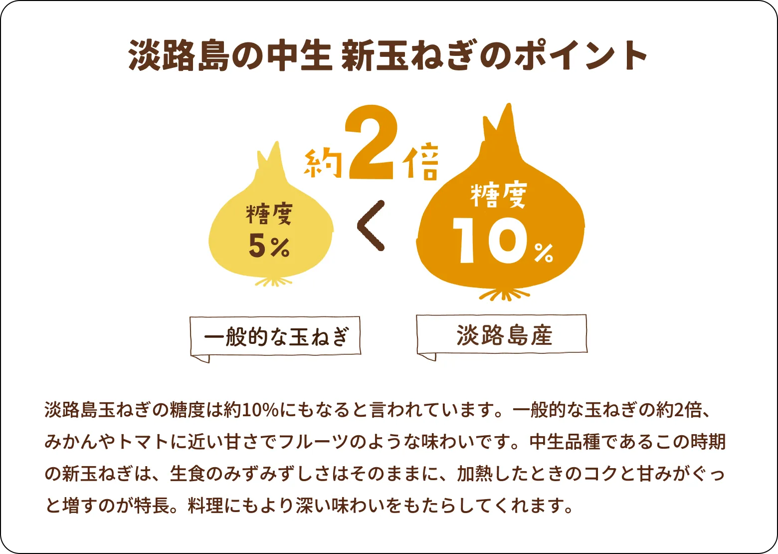 淡路島玉ねぎの甘さについて