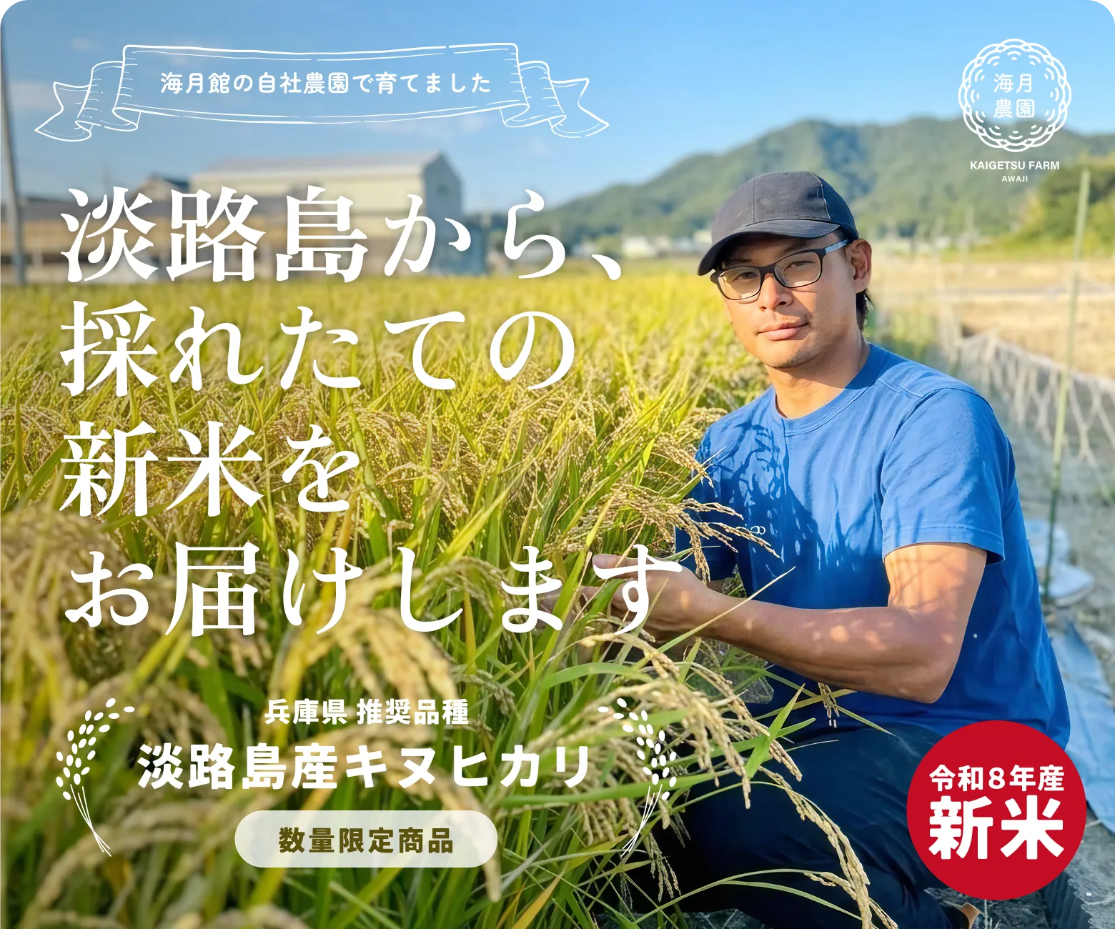 【海月館の自社農園で育てました】淡路島から、採れたての新米をお届けします|数量・期間限定 淡路島産キヌヒカリ